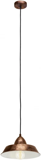 49243 Подвесной светильник Eglo Auckland 49243