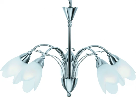 A4905LM-5SS Подвесная люстра Arte Lamp Petal A4905LM-5SS