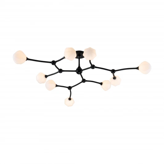 2688-9P Потолочная люстра Favourite Suri 2688-9P