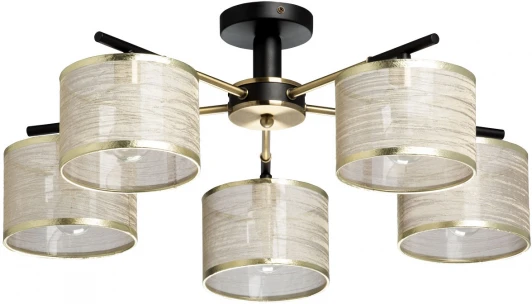 103013005 Потолочная люстра MW-Light Лацио 103013005