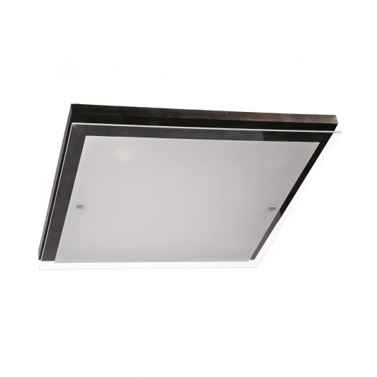 106-41-24/3H Настенно-потолочный светильник Дубравия Эко 106-41-24/3H