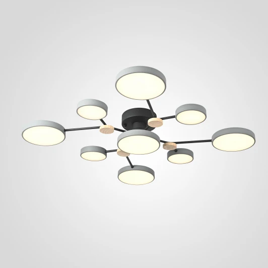 Gamma01 Потолочная люстра на штанге Gamma D98 Grey Imperiumloft Gamma01 (223766-23) (LED, 220V, пульт управления, круглые)