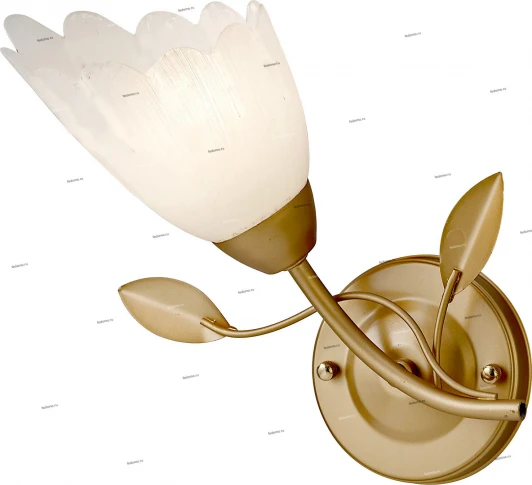 012/1A Myone 012 012/1A