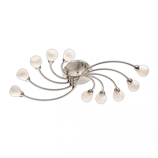 2469/10C Потолочная люстра Odeon Light Akron 2469/10C