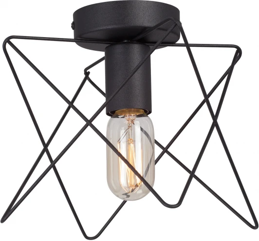 V4721-1/1PL Потолочный светильник V4721-1/1PL Vitaluce (220V)