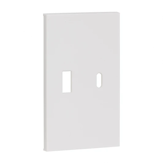 AW12C Usb+type С, накладка 2-ух модульная белый матовый Meiton AW12C