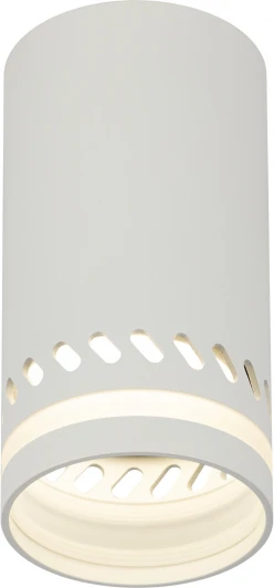 OL50 WH Точечный светильник ЭРА OL50 WH (220V)