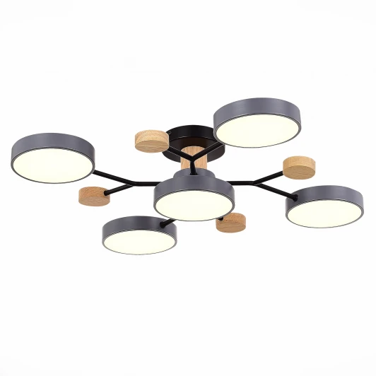 SLE6006-702-05 Потолочная люстра на штанге Evoluce Faema SLE6006-702-05