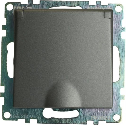 49424 Розетка с заземлением защитной крышкой и шторками (графит) Stekker Катрин 49424