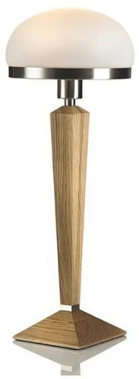 102853 Интерьерная настольная лампа Lampgustaf Wales 102853