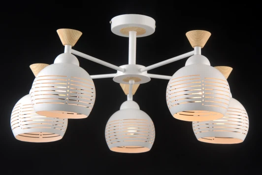 STUTTGART 81052-5C MATT WHITE Потолочная люстра Natali Kovaltseva Stuttgart 81052-5C MATT WHITE