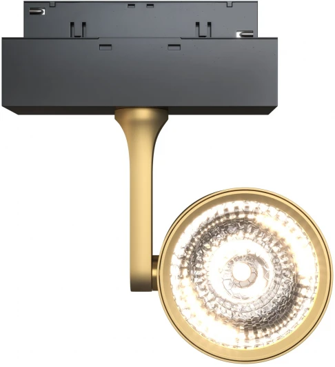 TR024-2-10MG3K Трековый светильник Maytoni Track lamps TR024-2-10MG3K