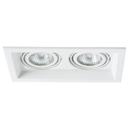 A6661PL-2WH Встраиваемый точечный светильник Arte Lamp Canis A6661PL-2WH (220V)