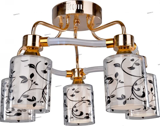 043R/5PL Myone 043R 043R/5PL