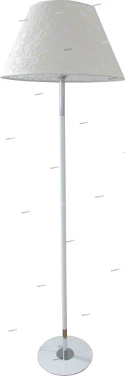 3669264/1F Adelluce 3669264 3669264/1F