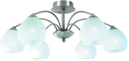 A8289PL-6SS Потолочная люстра Arte Lamp Bowl A8289PL-6SS