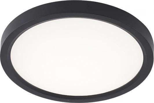 LED LAMPS 81114/1C Потолочный светильник светодиодный 10W, черный Natali Kovaltseva Plain LED LAMPS 81114/1C