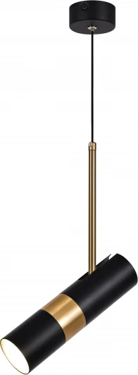 PL33 BK/GD Подвесной светильник ЭРА PL33 BK/GD