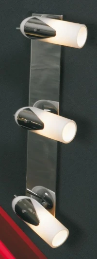 LSL-0411-03 Настенно-потолочный светильник Lussole Gessate LSL-0411-03