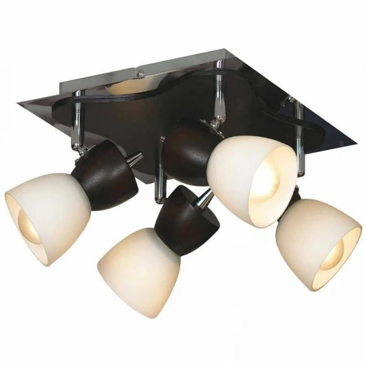 LSL-8201-04 Потолочный светильник Lussole Messina LSL-8201-04