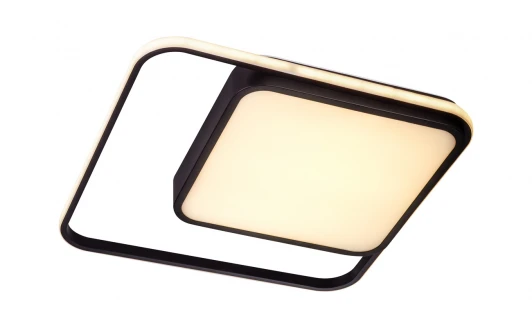 10210/2LED Потолочный светильник Escada Led 10210/2LED