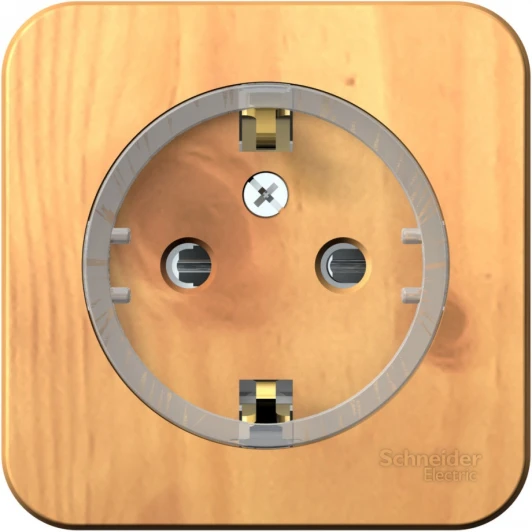 BLNRA111115 Розетка накладная с заземлением и шторками (ясень) Systeme Electric Blanca BLNRA111115