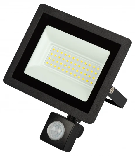 LPR-042-2-65K-050 Прожектор уличный светодиодный с датчиком движения ЭРА LPR-04 LPR-042-2-65K-050