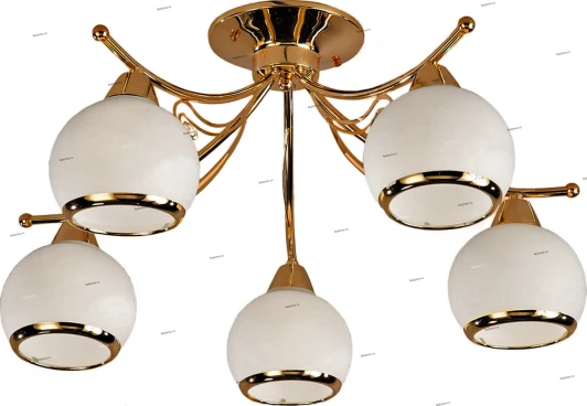 008/5PL Myone 008 008/5PL