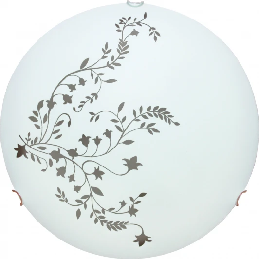 A3820PL-2CC Настенно-потолочный светильник Arte Lamp Ornament A3820PL-2CC