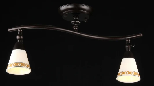 ECO001-02-R Спот Maytoni Spot 1 ECO001-02-R