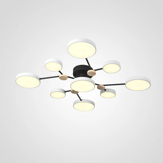 Gamma01 Потолочная люстра на штанге Gamma D98 White Imperiumloft Gamma01 (223762-23) (LED, 220V, пульт управления, круглые)