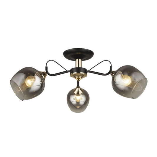 66606.01.69.03 Потолочная люстра Wedo Light Isora 66606.01.69.03