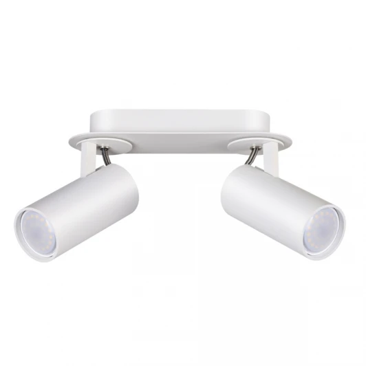 3873/2C Спот Odeon Light Corse 3873/2C