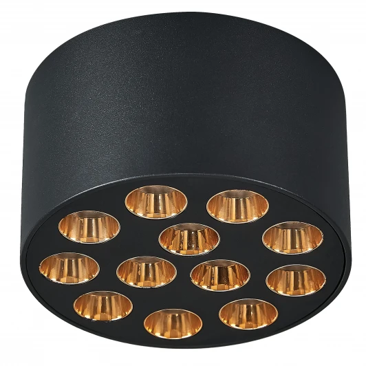 080942 Светильник потолочный Lightstar Guarda 080942 9W 750LM 4000K черный/золото