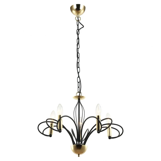 LSP-8194 Подвесная люстра Lussole Loft Powell LSP-8194