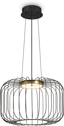 FR5398PL-L8B Подвесной светильник Freya Citrus FR5398PL-L8B (LED, 220V, на проводе, клетка)