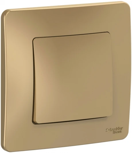 BLNVS010104 Выключатель встраиваемый одноклавишный (титан) Systeme Electric Blanca BLNVS010104