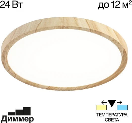 CL738242V Настенно-потолочный светильник Citilux Бейсик CL738242V (регулировка яркости, LED, 220V, круглые, IP40)