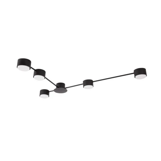 A1527PL-5BK Потолочная люстра Arte Lamp Tracy A1527PL-5BK