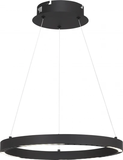 SL6238.423.01 Подвесной светильник ST Luce SL6238 SL6238.423.01 черный/черный LED 1*25W 4000K (220V, на тросе)