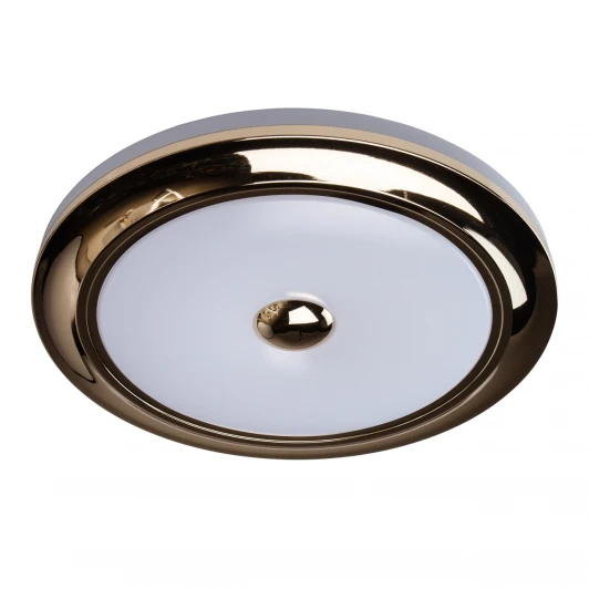 688010101 Потолочный светильник MW-Light Энигма 688010101