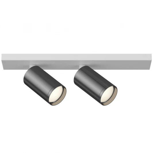 C051CL-2WGF Накладной точечный светильник Maytoni FOCUS S C051CL-2WGF