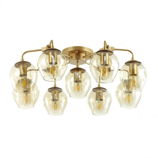 4660/9 Потолочная люстра Odeon Light Kuva 4660/9