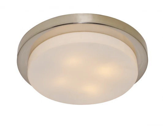 A8510PL-4SS Потолочный светильник Arte Lamp Aqua A8510PL-4SS