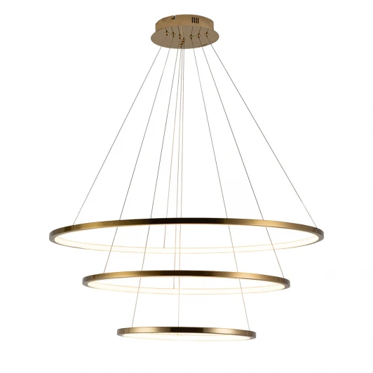 10015/3 Подвесной светильник Loft IT Ring 10015/3 (LED, 220V, на тросе, кольцо)