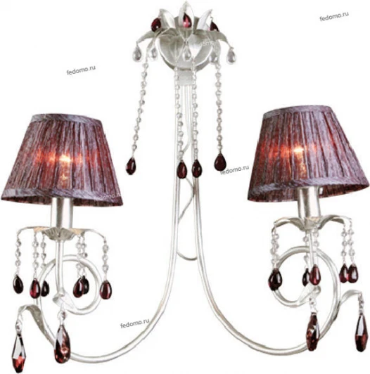 344021502 Chiaro Федерика 344021502