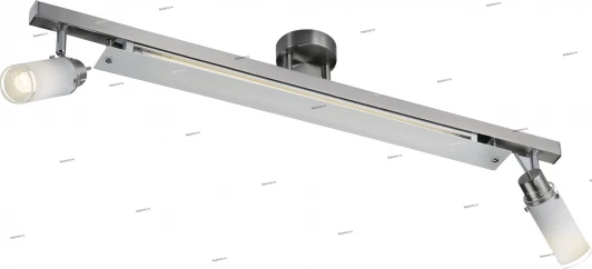 2134/2C Настенно-потолочный светильник Odeon Light Longo 2134/2C