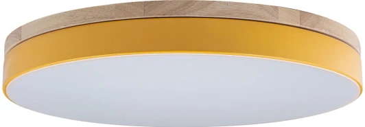 10001/36 Yellow Потолочный светильник круглый Loft IT Axel 10001/36 Yellow (LED, 220V, круглые)