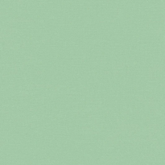 BN 219510 Рулонные обои BN International BN 219510