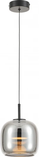 6163-201 Подвесной светильник Rivoli Dora 6163-201 (LED, 220V, на проводе)